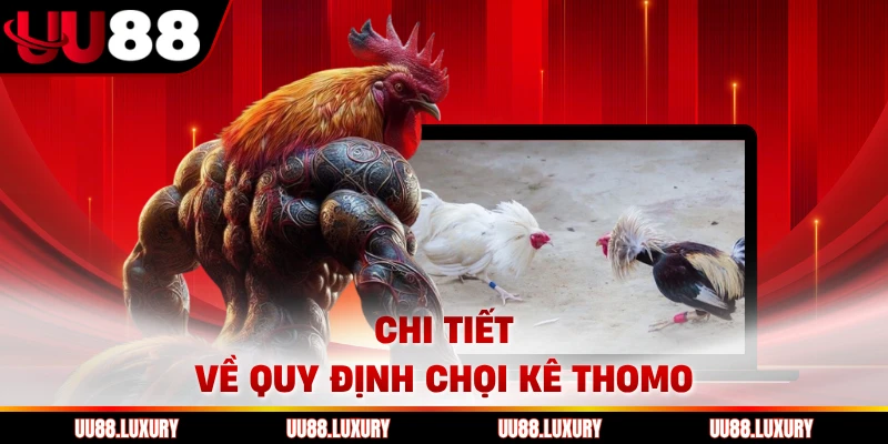 Chi tiết về quy định chọi kê Thomo