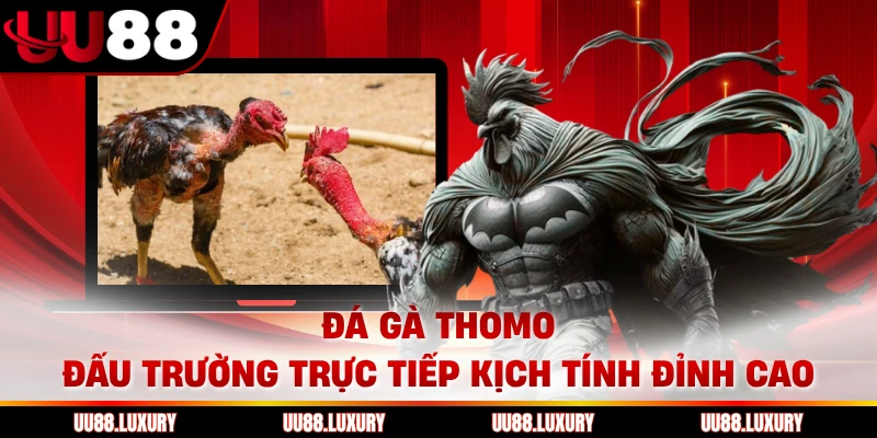 Đá Gà Thomo Đấu Trường Trực Tiếp Kịch Tính Đỉnh Cao