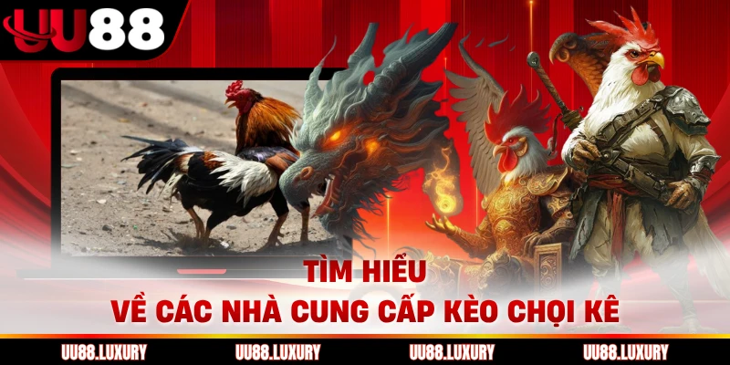 Tìm hiểu về các nhà cung cấp kèo chọi kê